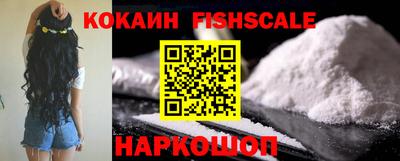 стаф Дубна