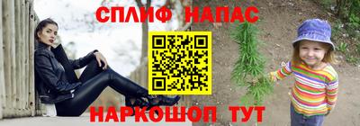 стаф Дубна