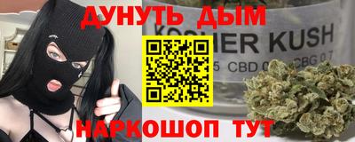 стаф Дубна