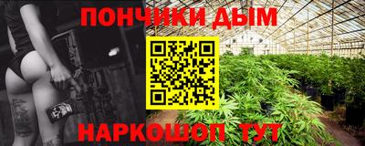 стаф Дубна