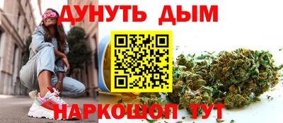 стаф Дубна