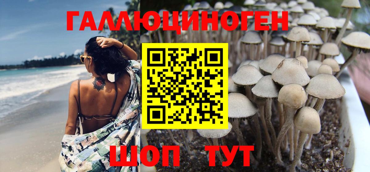 Галлюциногенные грибы MAGIC MUSHROOMS  Вход с VPN  Киселёвск 